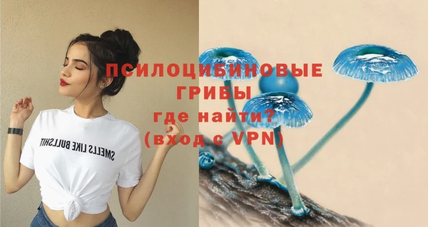 соль курить ск Абаза