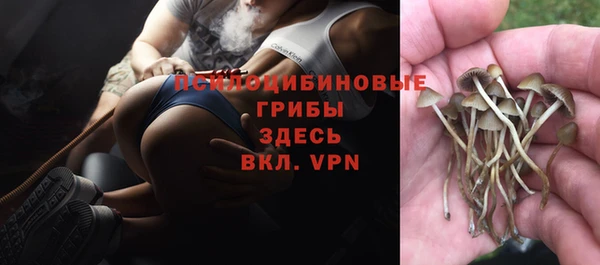 соль курить ск Абаза