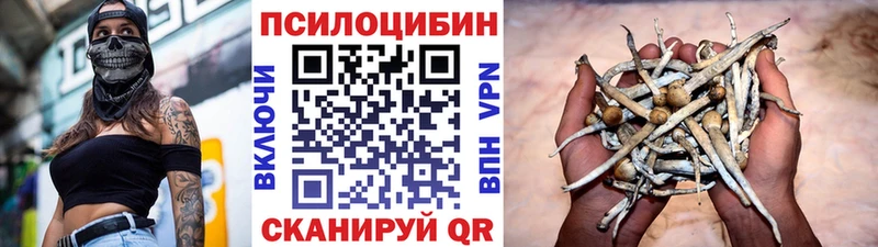 ссылка на мегу зеркало Симферополь Галлюциногенные грибы мухоморы наркотики